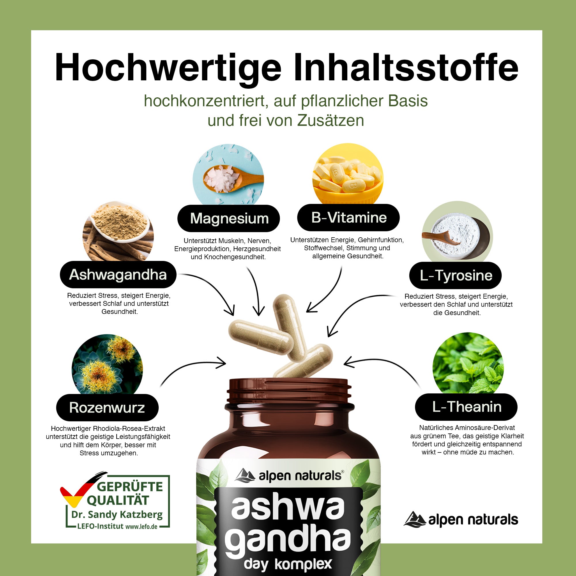 Día de la Ashwagandha